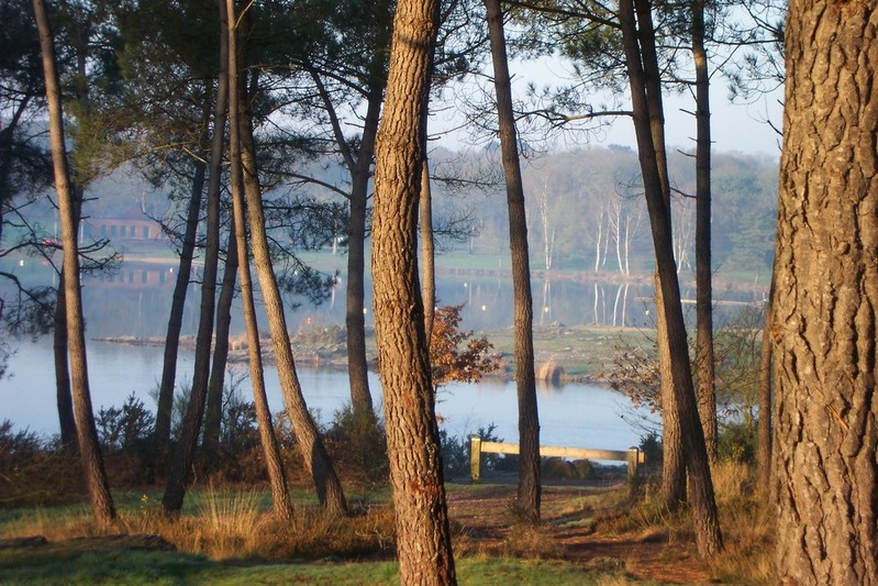 Domaine de Trémelin Bretaña - Iffendic visuel 6/10 Domaine de Trémelin Bretaña - Iffendic visuel 6/10