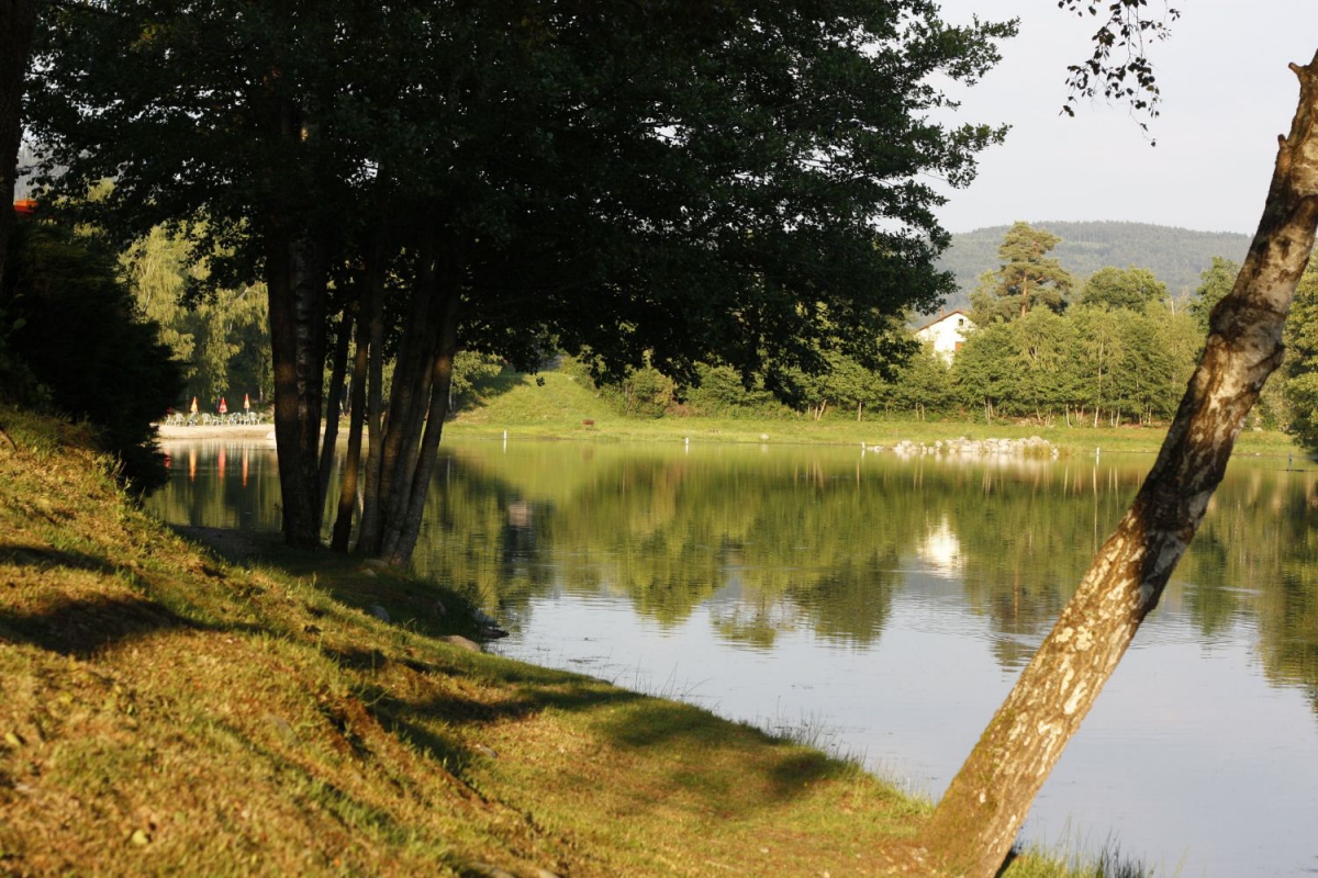 Domaine des Messires Lorena - Herpelmont visuel 5/8