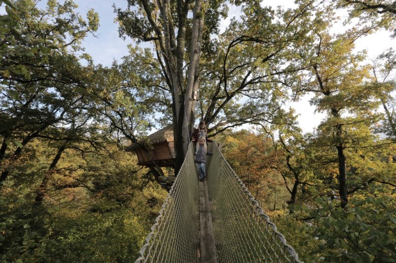 Domaine des Vaulx Países del Loira - La Baconnière visuel 12/16