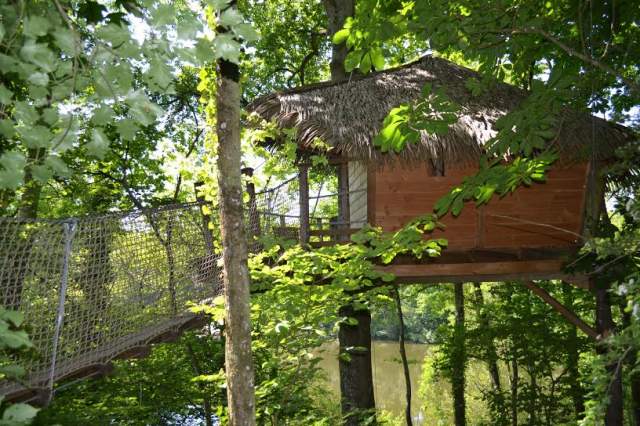 Domaine des Vaulx Países del Loira - La Baconnière visuel 8/16