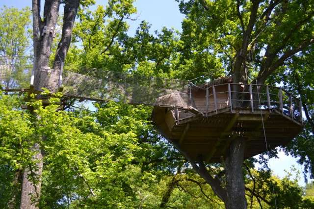 Domaine des Vaulx Países del Loira - La Baconnière visuel 9/16