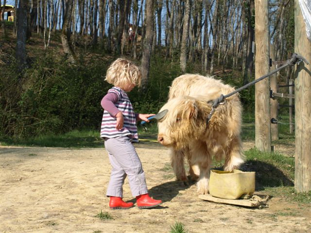 Domaine d'Escapa Mediodía-Pirineos - Estipouy visuel 4/10
