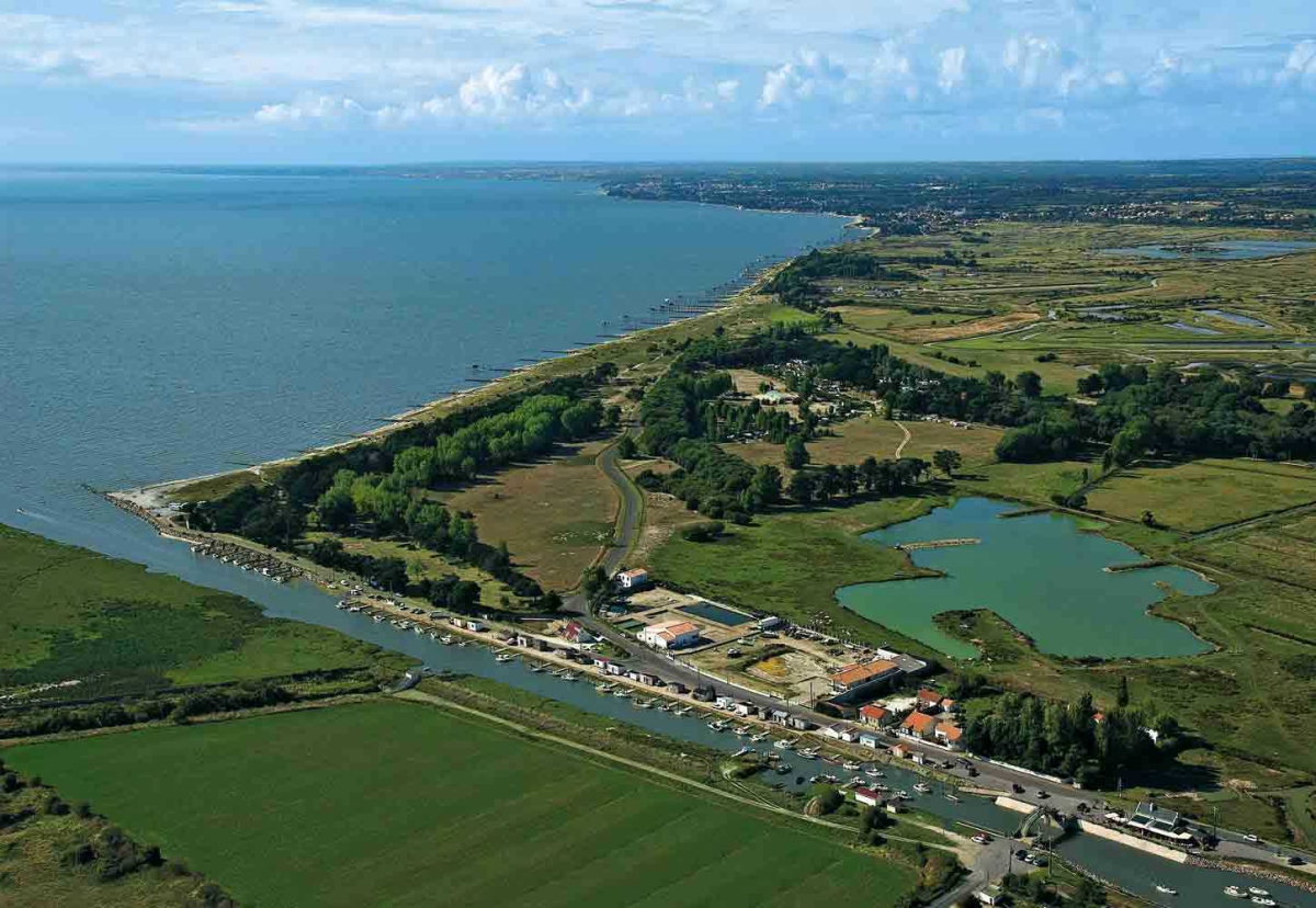 Domaine du Collet Países del Loira - Les Moutiers en Retz visuel 12/15
