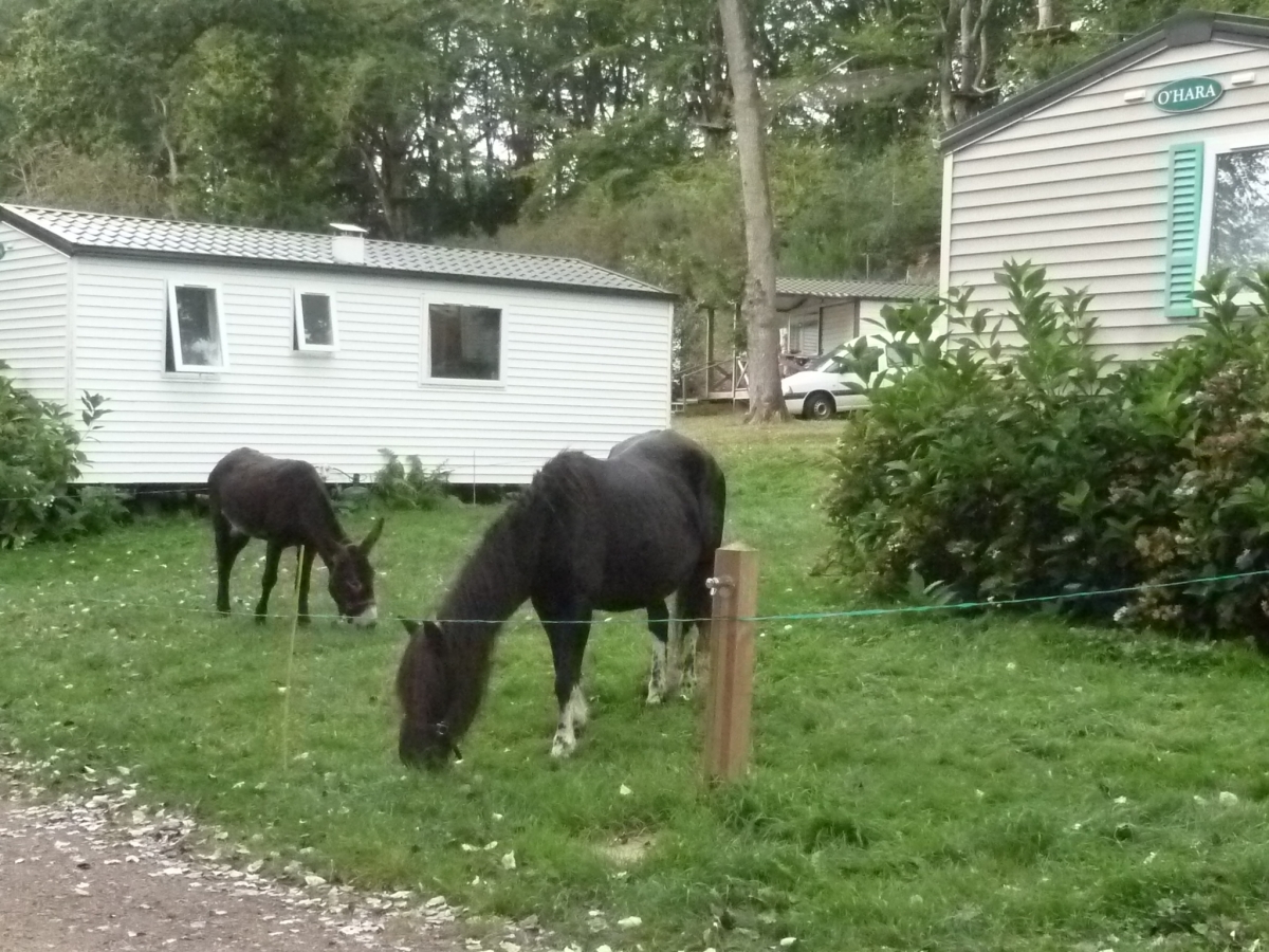 Domaine du Roc Bretaña - Le Roc-Saint-André visuel 7/9 Domaine du Roc Bretaña - Le Roc-Saint-André visuel 7/9