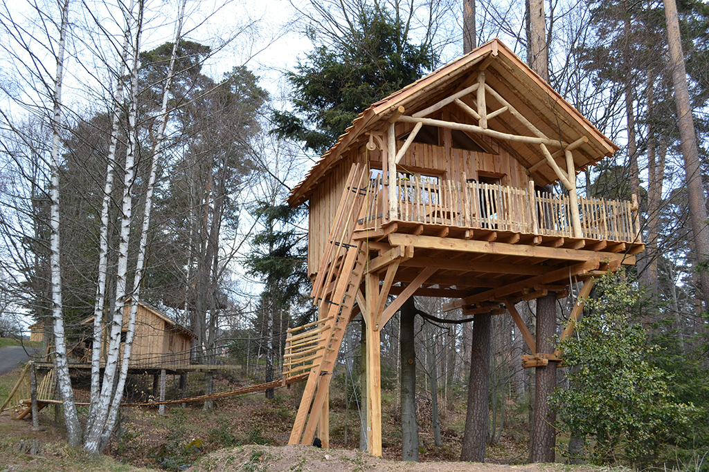 Domaine Hauts de Ribeauvillé Alsacia - Aubure visuel 1/10 Domaine Hauts de Ribeauvillé Alsacia - Aubure visuel 1/10