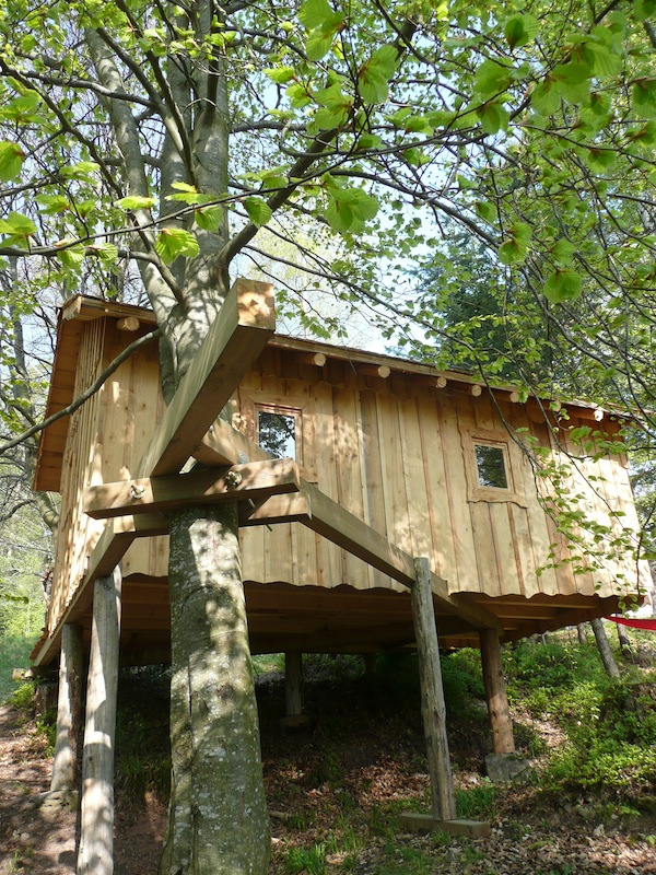 Domaine Hauts de Ribeauvillé Alsacia - Aubure visuel 2/10 Domaine Hauts de Ribeauvillé Alsacia - Aubure visuel 2/10