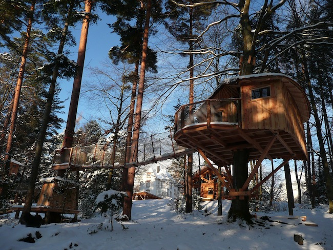 Domaine Hauts de Ribeauvillé Alsacia - Aubure visuel 4/10 Domaine Hauts de Ribeauvillé Alsacia - Aubure visuel 4/10