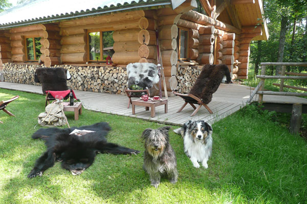 Domaine Hauts de Ribeauvillé Alsacia - Aubure visuel 8/10 Domaine Hauts de Ribeauvillé Alsacia - Aubure visuel 8/10