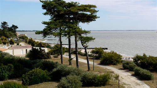 La Plage Países del Loira - Les Moutiers en Retz visuel 4/10