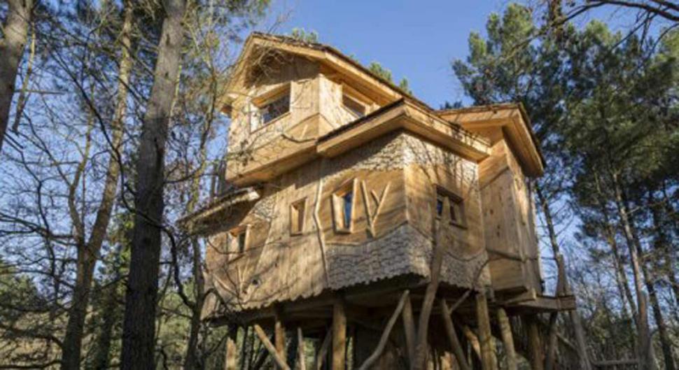 Domaine Le Bois aux Daims Poitou-Charentes - Morton visuel 2/10