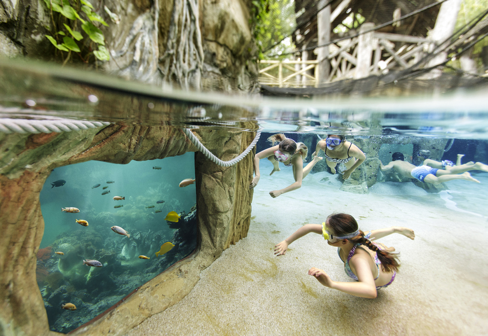 Domaine Le Bois aux Daims Poitou-Charentes - Morton visuel 6/10