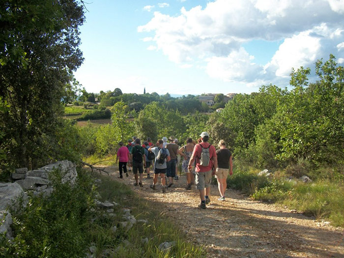 Domaine le Clos des Capitelles Languedoc-Rosellón - Saint-Privat-de-Champclos visuel 3/11