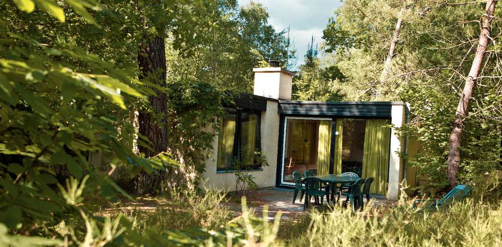 Domaine Les Hauts de Bruyères centro valle - Chaumont-sur-Tharonne visuel 4/10 Domaine Les Hauts de Bruyères centro valle - Chaumont-sur-Tharonne visuel 4/10