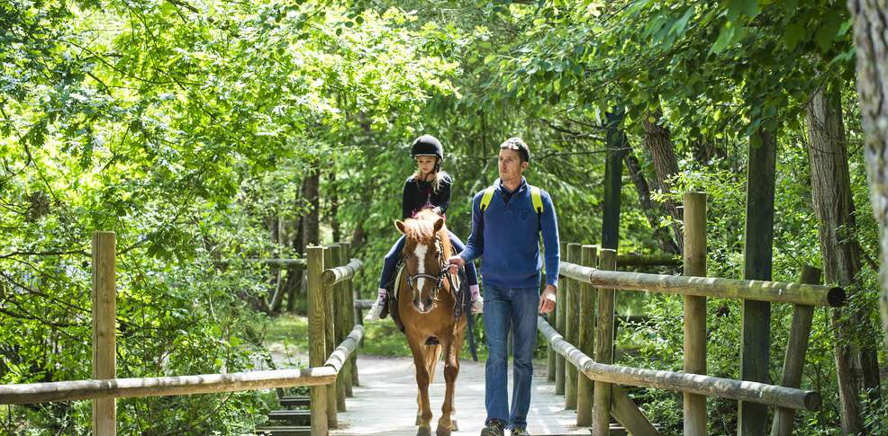 Domaine Les Hauts de Bruyères centro valle - Chaumont-sur-Tharonne visuel 6/10 Domaine Les Hauts de Bruyères centro valle - Chaumont-sur-Tharonne visuel 6/10