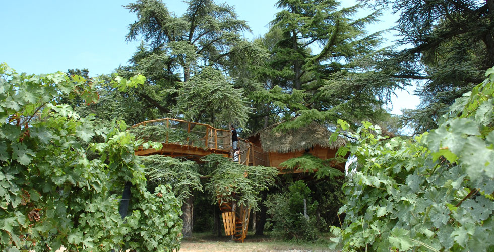 Domaine Saint Jean de l'Arbousier Languedoc-Rosellón - Castries visuel 2/11 Domaine Saint Jean de l'Arbousier Languedoc-Rosellón - Castries visuel 2/11