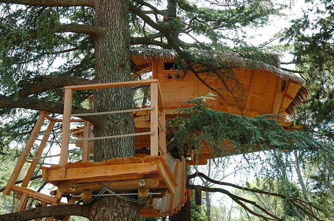 Domaine Saint Jean de l'Arbousier Languedoc-Rosellón - Castries visuel 5/11 Domaine Saint Jean de l'Arbousier Languedoc-Rosellón - Castries visuel 5/11