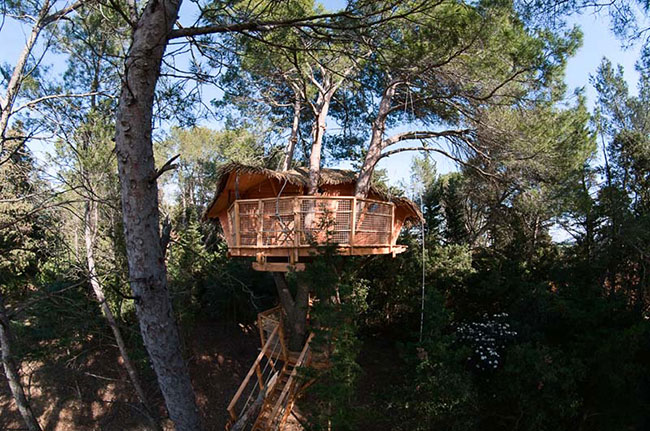 Domaine Saint Jean de l'Arbousier Languedoc-Rosellón - Castries visuel 6/11 Domaine Saint Jean de l'Arbousier Languedoc-Rosellón - Castries visuel 6/11