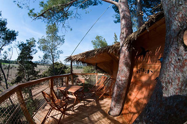 Domaine Saint Jean de l'Arbousier Languedoc-Rosellón - Castries visuel 7/11 Domaine Saint Jean de l'Arbousier Languedoc-Rosellón - Castries visuel 7/11