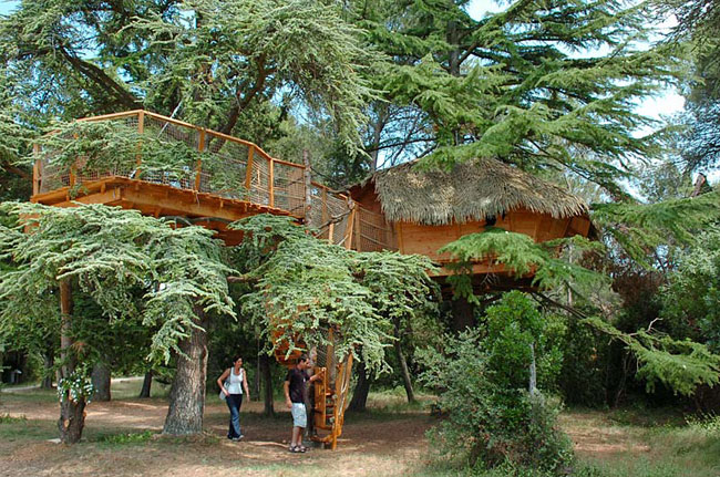 Domaine Saint Jean de l'Arbousier Languedoc-Rosellón - Castries visuel 8/11 Domaine Saint Jean de l'Arbousier Languedoc-Rosellón - Castries visuel 8/11