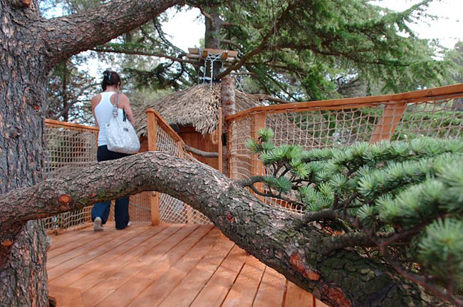 Domaine Saint Jean de l'Arbousier Languedoc-Rosellón - Castries visuel 9/11 Domaine Saint Jean de l'Arbousier Languedoc-Rosellón - Castries visuel 9/11