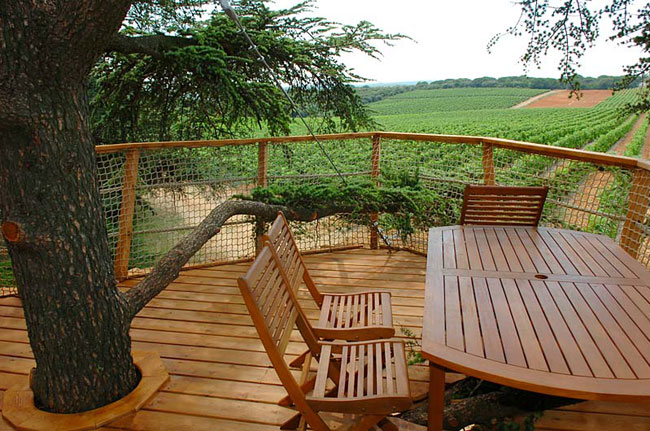 Domaine Saint Jean de l'Arbousier Languedoc-Rosellón - Castries visuel 10/11 Domaine Saint Jean de l'Arbousier Languedoc-Rosellón - Castries visuel 10/11