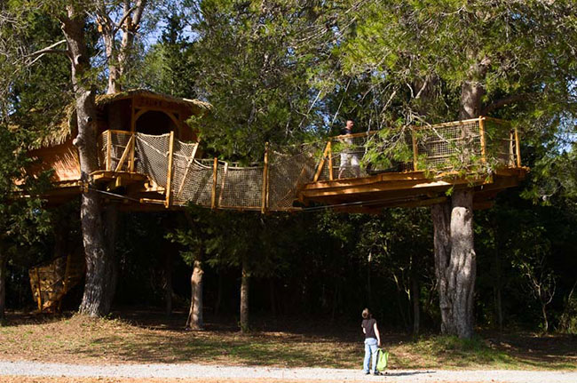 Domaine Saint Jean de l'Arbousier Languedoc-Rosellón - Castries visuel 11/11 Domaine Saint Jean de l'Arbousier Languedoc-Rosellón - Castries visuel 11/11