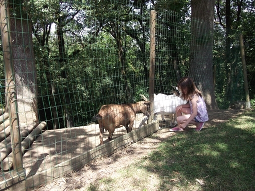 Domaine Saint Laurent Languedoc-Rosellón - Montferrand visuel 8/8