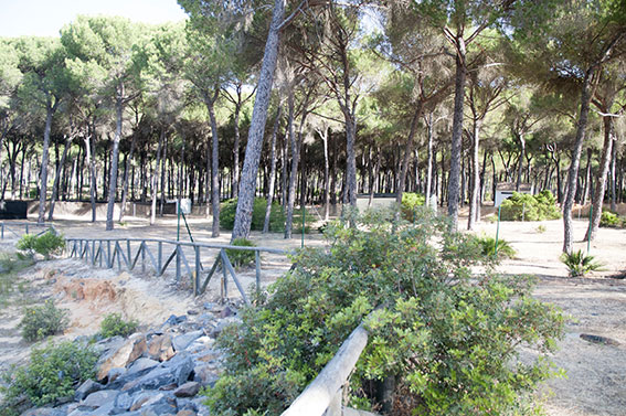 Doñarrayan Park Andalucía - Hinojos visuel 1/4