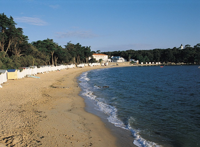 Camping du Lac de la Chausselière Países del Loira - La Guyonnière visuel 10/10