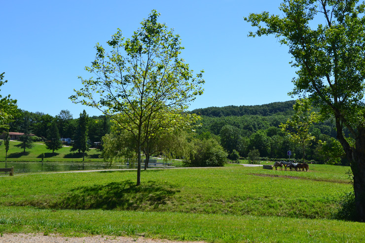 Camping du Lac de Parisot Mediodía-Pirineos - Parisot visuel 5/6 Camping du Lac de Parisot Mediodía-Pirineos - Parisot visuel 5/6