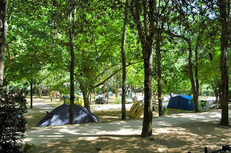 Camping du Pont d'Arc Ródano-Alpes - Vallon-Pont-d'Arc visuel 3/5 Camping du Pont d'Arc Ródano-Alpes - Vallon-Pont-d'Arc visuel 3/5