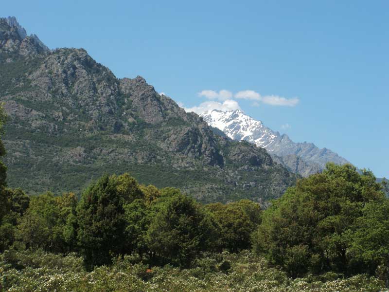 E Canicce Córcega - Moltifao visuel 5/12