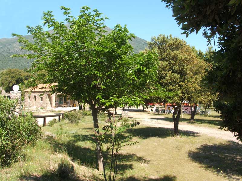 E Canicce Córcega - Moltifao visuel 6/12