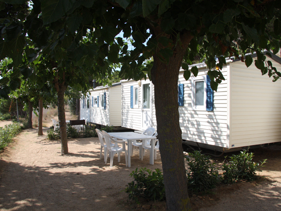 El Carlitos Costa Brava - Arenys de Mar visuel 6/7