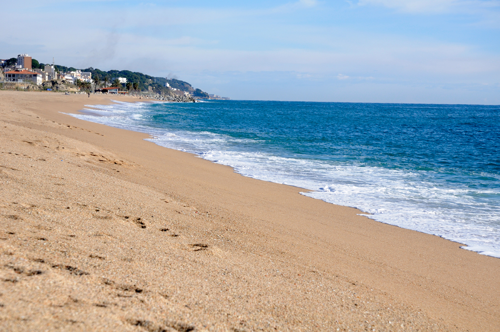 El Toro Azul Costa Brava - Arenys de Mar visuel 6/8