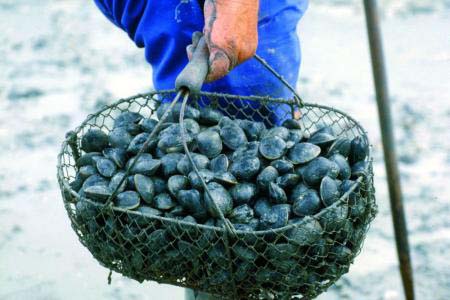 Eléovic Países del Loira - Pornic visuel 7/8