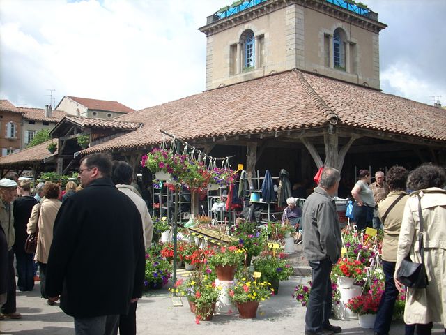 Camping en Salvan Mediodía-Pirineos - Vaudreuille visuel 6/8 Camping en Salvan Mediodía-Pirineos - Vaudreuille visuel 6/8