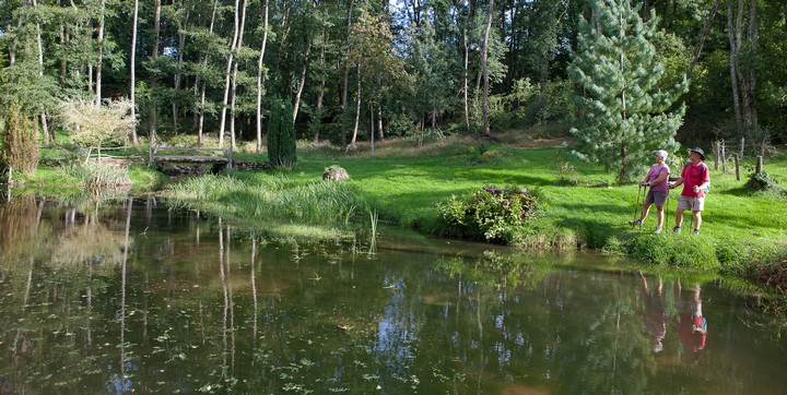 Etang de la Fougeraie Bourgogne - Saint-Léger-de-Fougeret visuel 6/10