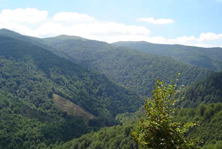 Europ'Camping Aquitania - Ascarat visuel 9/14