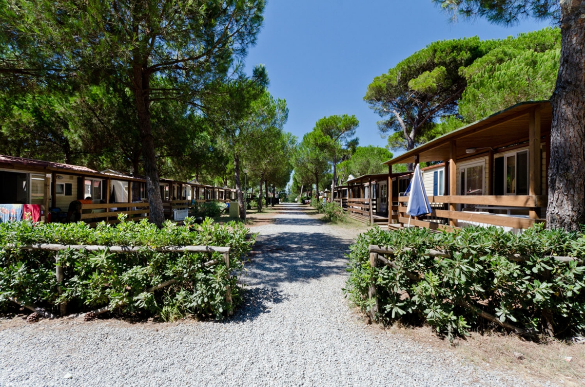 Europing Lacio - Tarquinia visuel 4/12