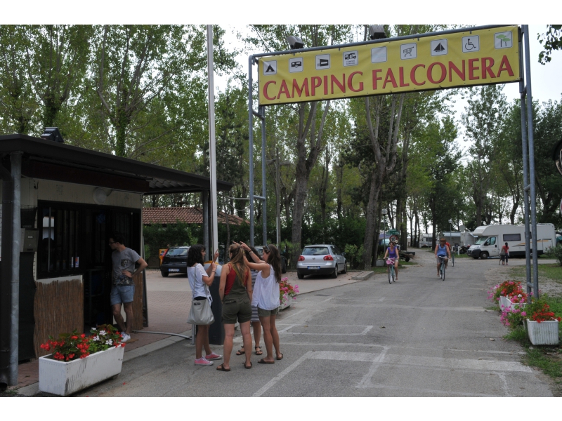 Falconera Véneto - Caorle visuel 4/10 Falconera Véneto - Caorle visuel 4/10