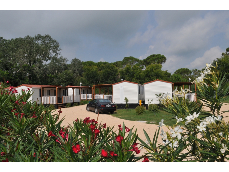 Falconera Véneto - Caorle visuel 5/10 Falconera Véneto - Caorle visuel 5/10