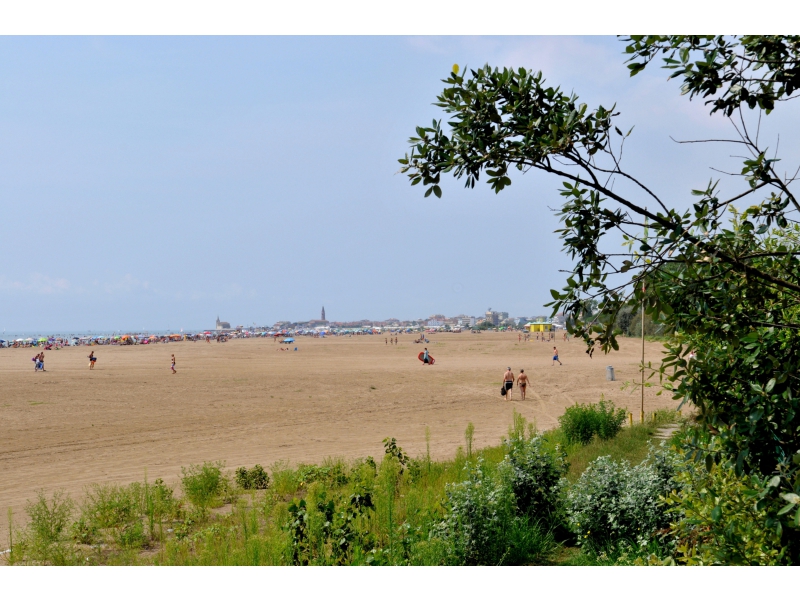 Falconera Véneto - Caorle visuel 6/10 Falconera Véneto - Caorle visuel 6/10