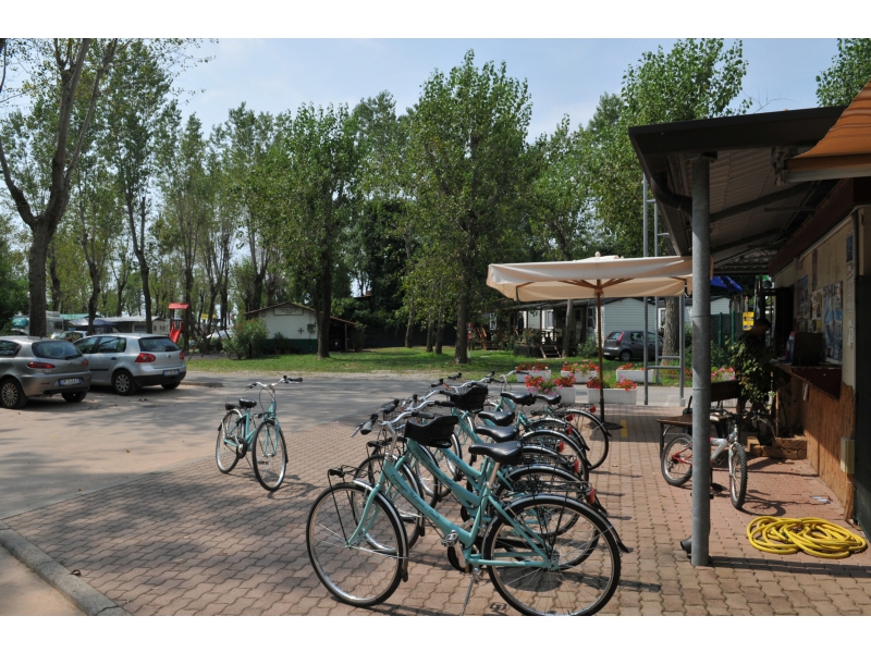 Falconera Véneto - Caorle visuel 8/10 Falconera Véneto - Caorle visuel 8/10