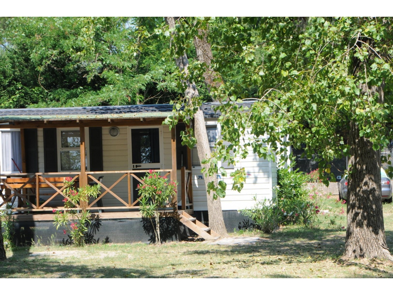 Falconera Véneto - Caorle visuel 10/10 Falconera Véneto - Caorle visuel 10/10