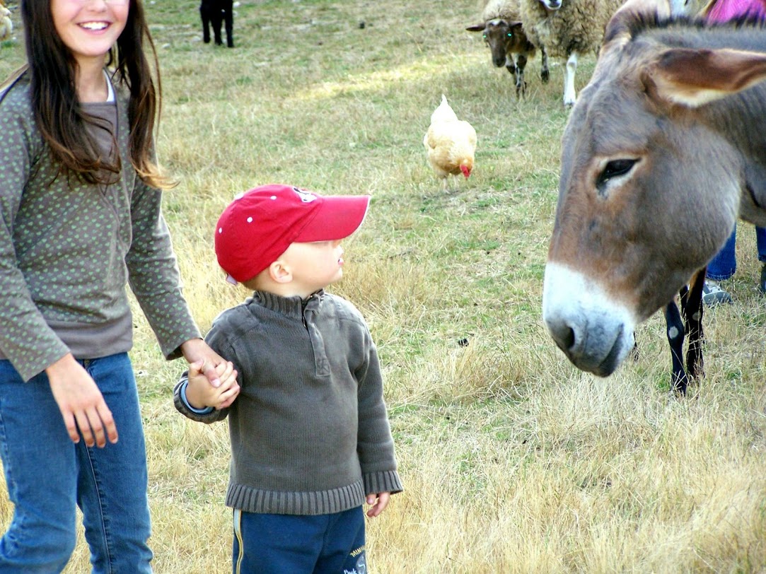 Ferme de Prunay centro valle - Seillac visuel 7/11 Ferme de Prunay centro valle - Seillac visuel 7/11