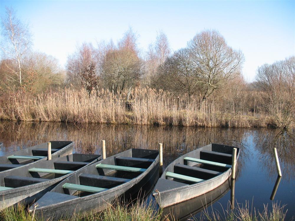 Fleur de Brière Países del Loira - Saint-Lyphard visuel 9/9 Fleur de Brière Países del Loira - Saint-Lyphard visuel 9/9