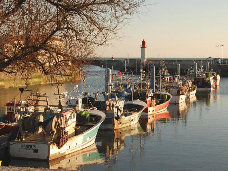 Fleur d'Oléron Poitou-Charentes - Saint-Pierre-d'Oléron visuel 3/4 Fleur d'Oléron Poitou-Charentes - Saint-Pierre-d'Oléron visuel 3/4