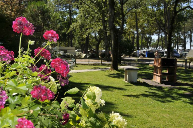 Fontaine Vieille Aquitania - Andernos-les-Bains visuel 2/4