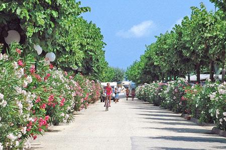 Gemma Marcas - Fermo visuel 2/11